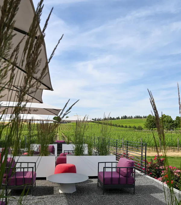 furniture, chair, garden, outdoor furniture, shade, outdoor table