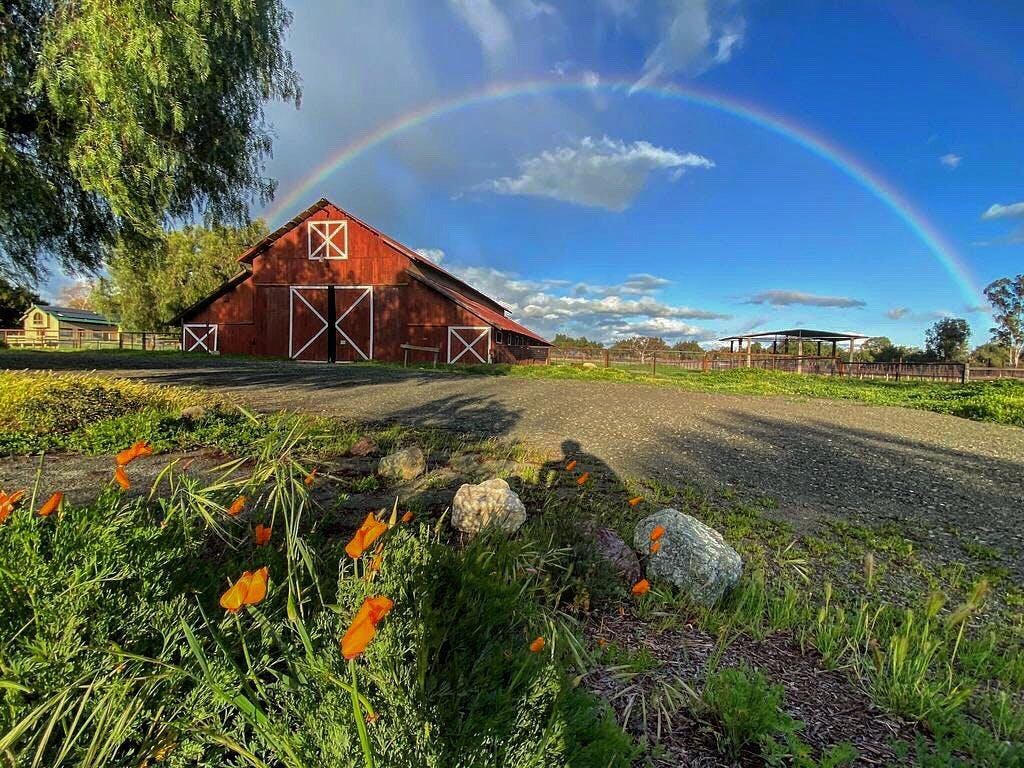 Solminer Wine Co.