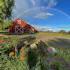 Solminer Wine Co.