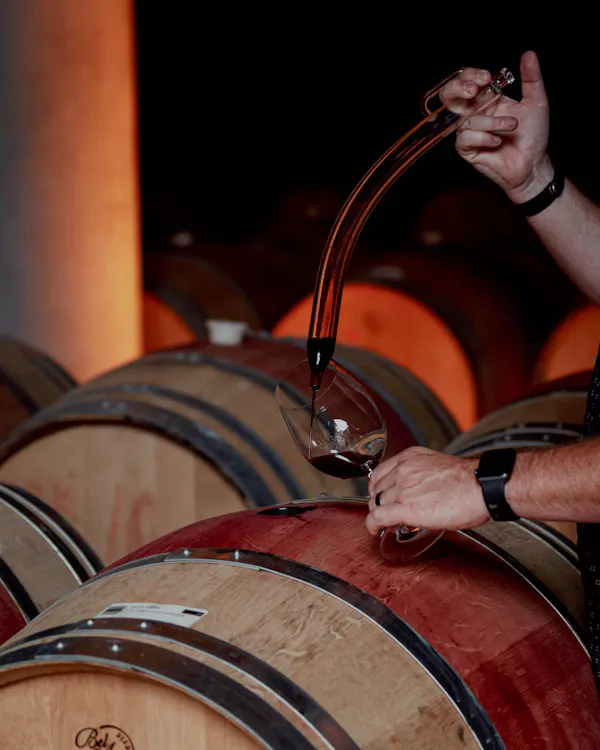 barrel, winery, wine cellar