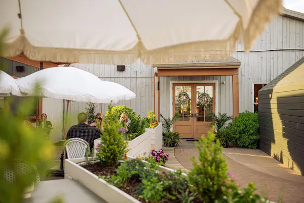 umbrella, flowerpot, furniture, chair, houseplant, kitchen & dining room table