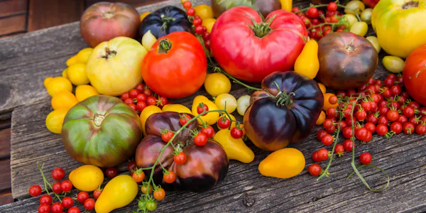 food, produce, natural foods, red, tomato, vegetable