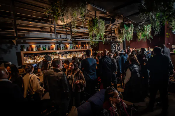 plant, coat, tree, city, event, crowd