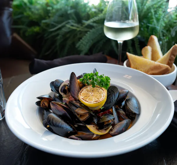 food, tableware, serveware, seafood, bivalvia, dishware