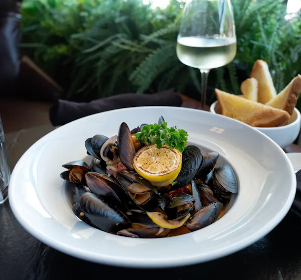food, tableware, serveware, seafood, bivalvia, dishware