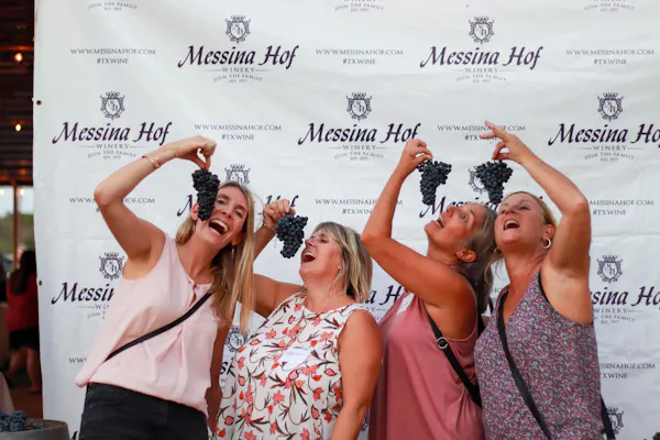 event, happiness, dress, smile, fun, party