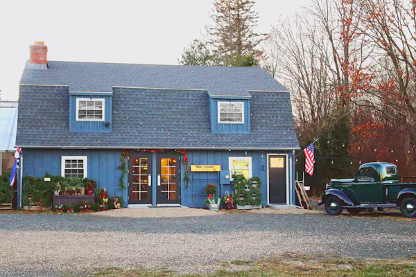 cottage, roof, door, flowerpot, siding, awning