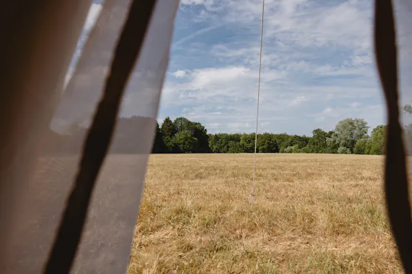 grass, plain, grassland, field, ecoregion, land lot