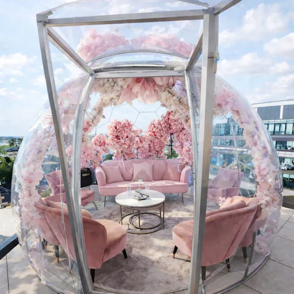 pink, natural material, chair, design, outdoor furniture, floral design