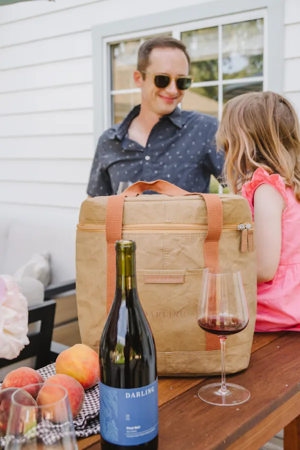 bottle, bag, wine bottle, wine