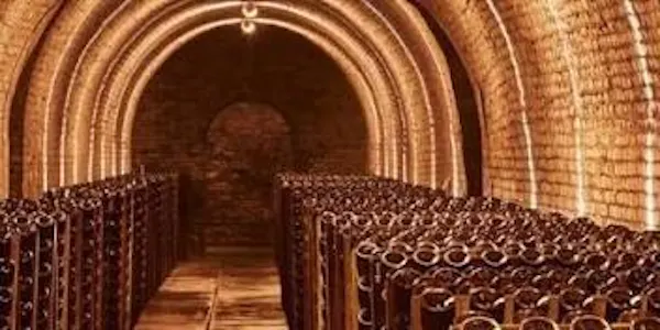 barrel, winery, wine cellar, tunnel, aisle, mass production
