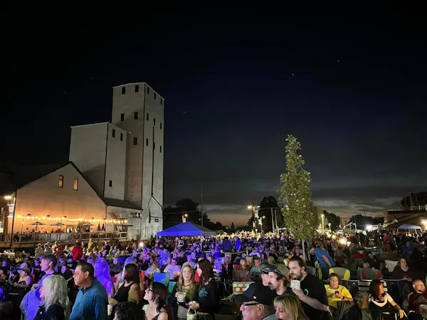 night, crowd, electricity, public event, midnight, audience