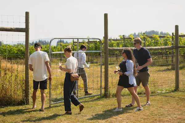 summer, recreation, grassland, plain, leisure, fun