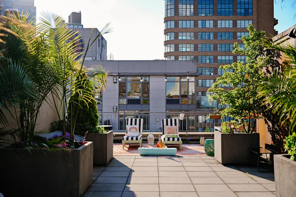 plant, building, daytime, property, sky, urban design