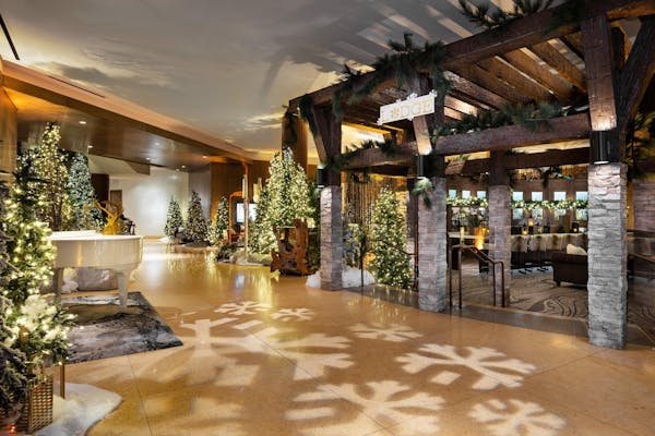 plant, decoration, christmas tree, building, wood, floor
