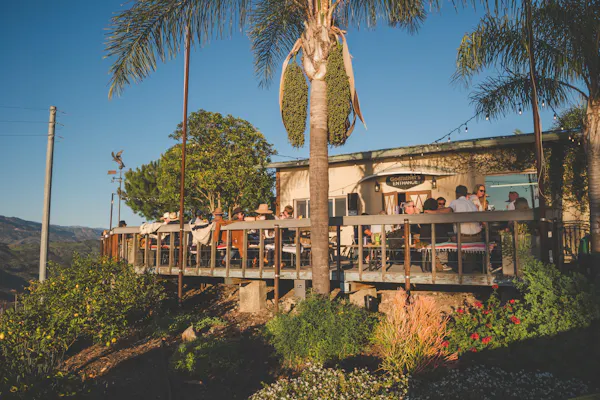 restaurant, chair, palm trees, outdoor table, outdoor furniture