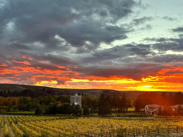 horizon, cloud, yellow, sunset, dusk, afterglow