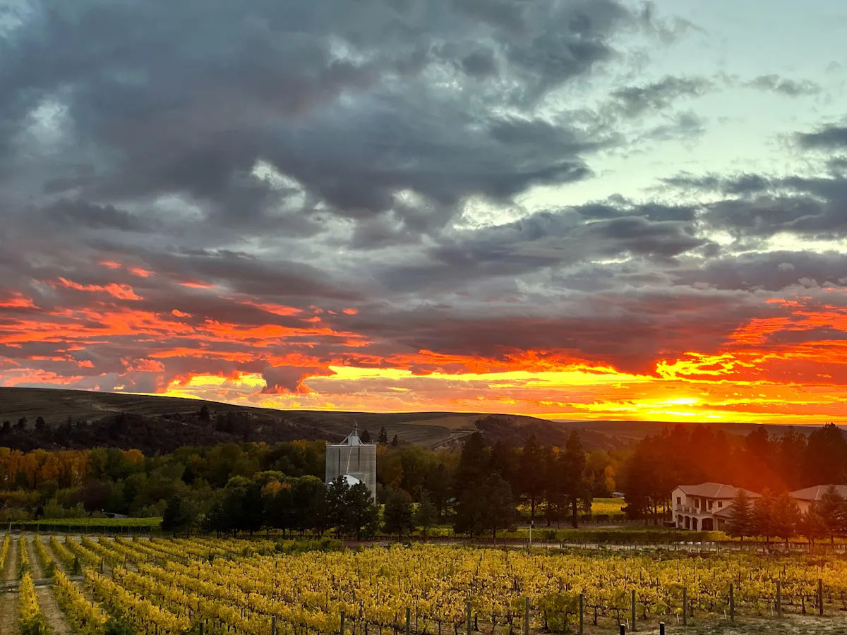 FIGGINS & Toil Oregon Winery - Walla Walla, WA | Tock