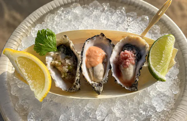 food, tableware, ingredient, seafood, citrus, oyster