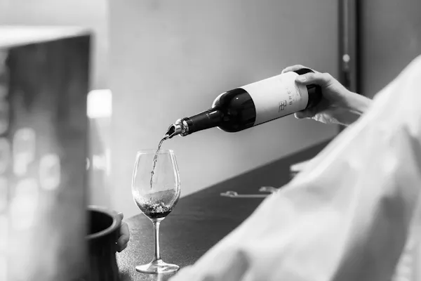 water, black-and-white, hand, wine bottle, wine, alcohol