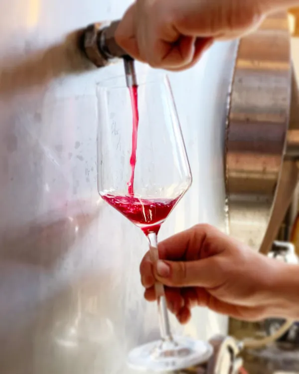 stemware, alcoholic drink, drinkware, liquid, tableware, glass