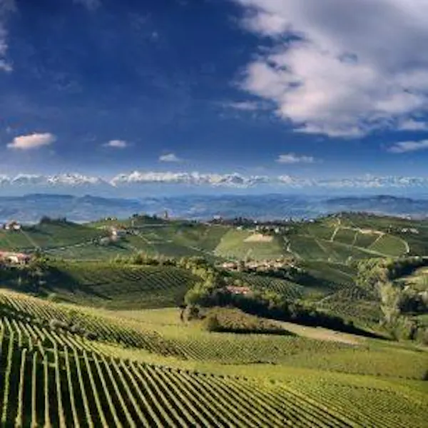 hill, highland, field, agriculture, plantation, landscape