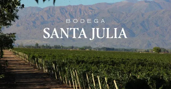 plantation, agriculture, hill station, mountain range, vineyard, ridge