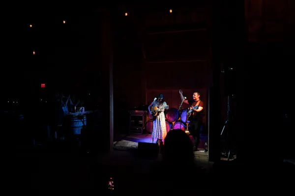 performing arts, entertainment, performance, event, stage, artist