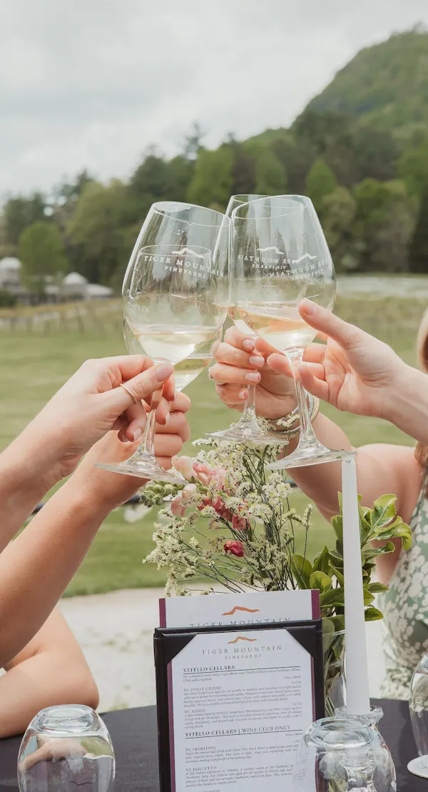 tableware, stemware, drinkware, alcoholic drink, wine glass, barware