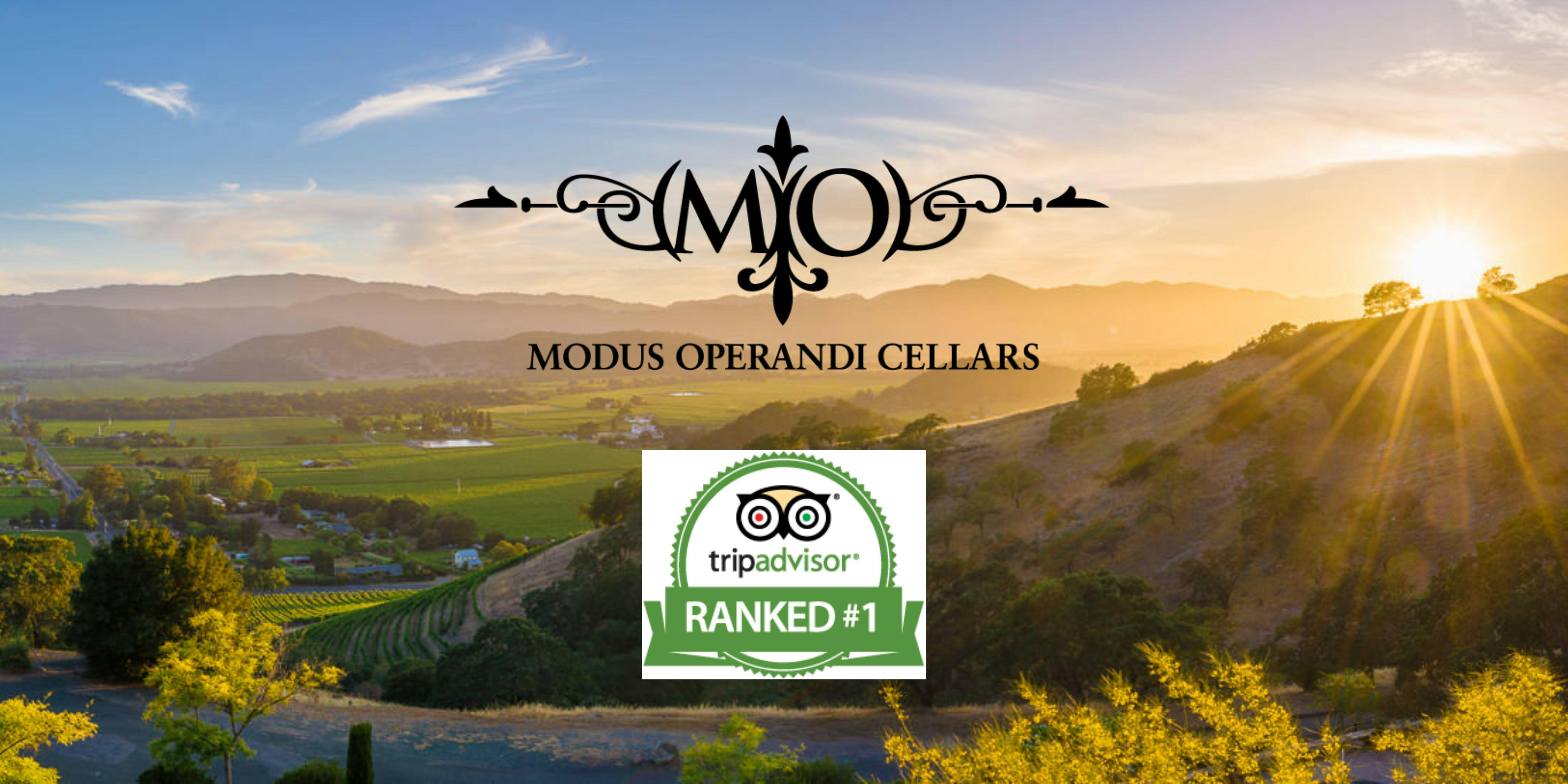 Modus Operandi Cellars & Vicarious Wines - Cave Tastings