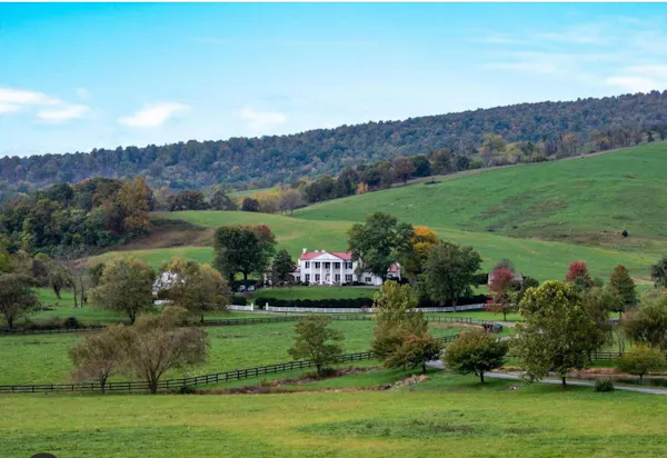 tree, plants, landscape, hill, grassland, land lot