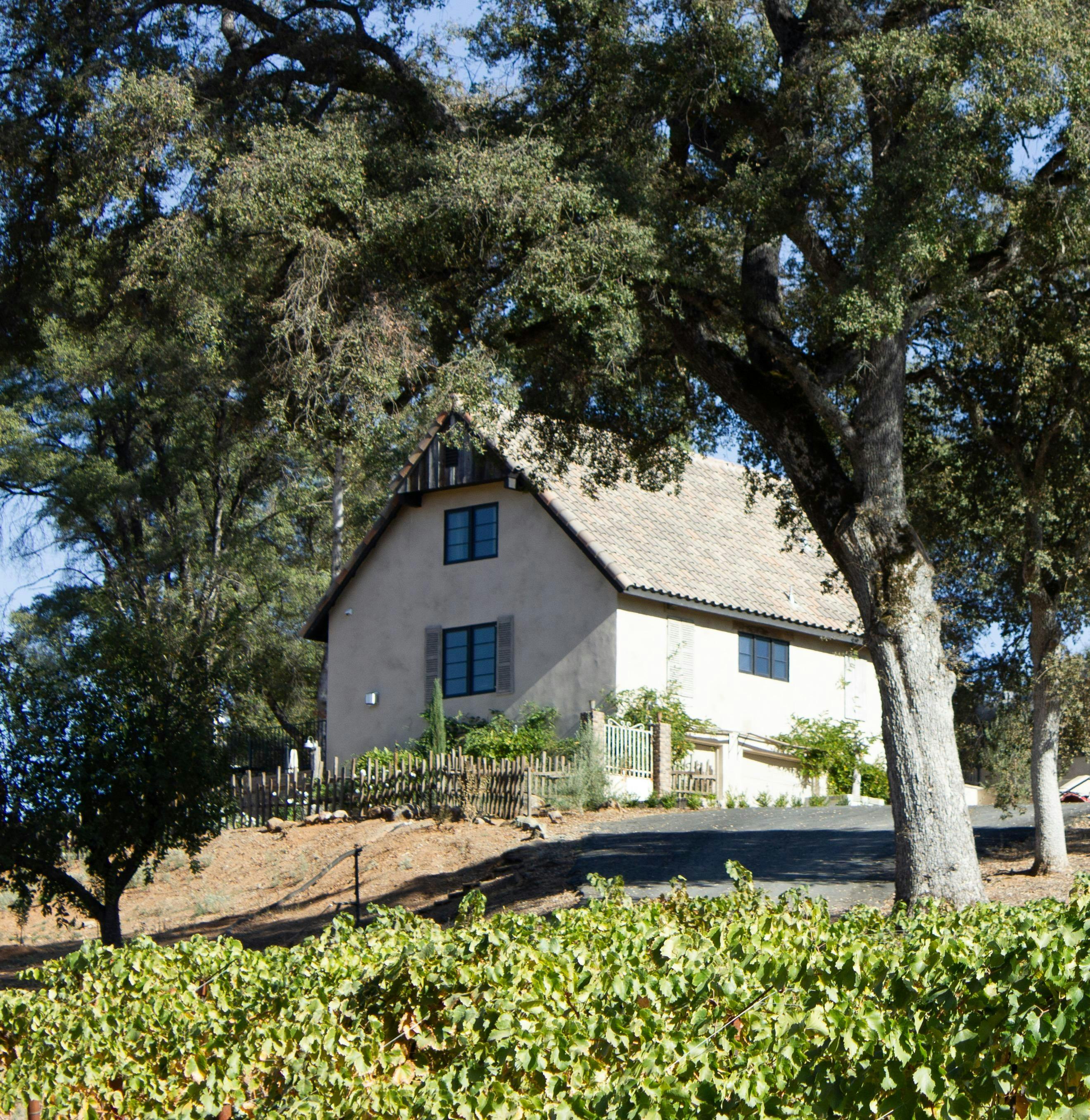 PleinAir Vineyards