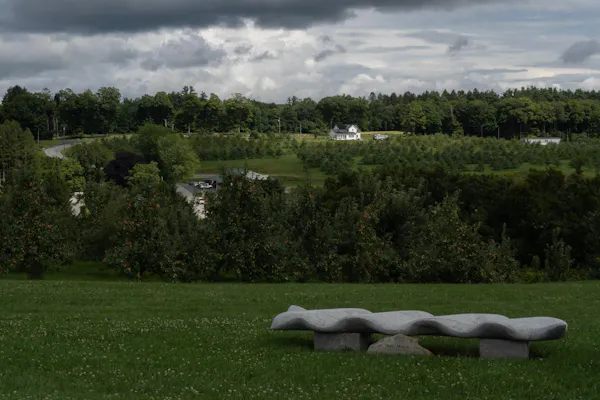 daytime, grass, green, natural environment, grassland, landscape