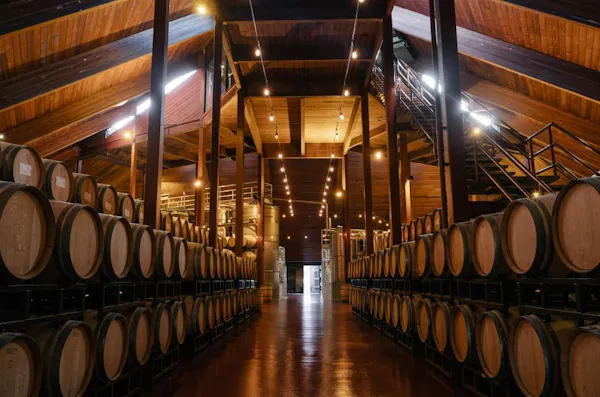 wood, flooring, lighting, ceiling, barrel, winery