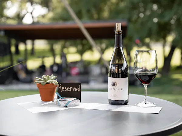 alcoholic drink, wine, bottle, drinkware, barware, alcohol
