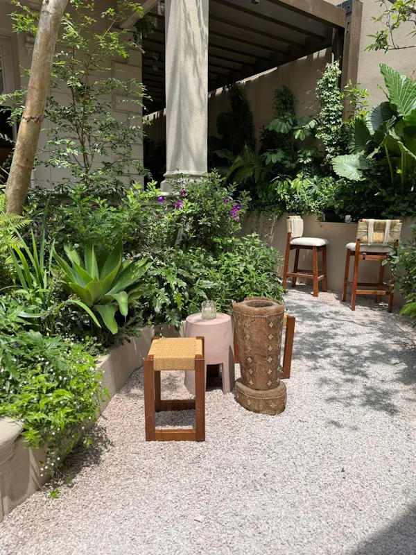 plants, shrub, garden, flowerpot, shade, backyard