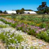 Cassidy Ranch