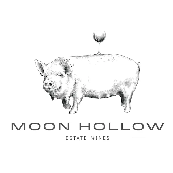 domestic pig, suidae, snout, graphics