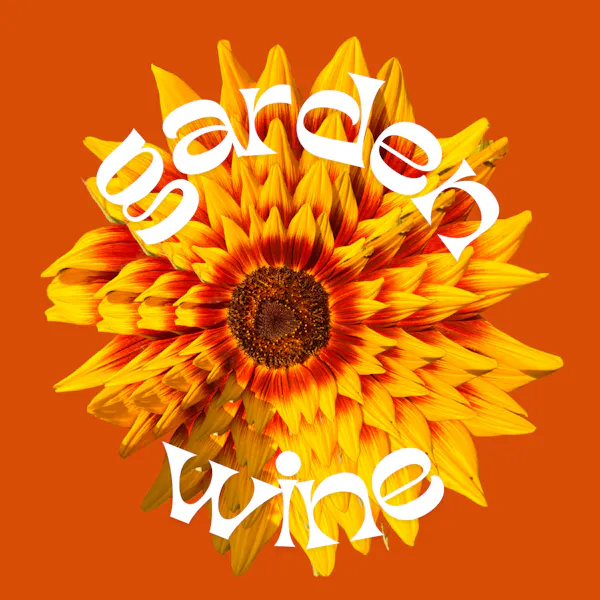 orange, yellow, poster, graphic design, graphics, sunflowers