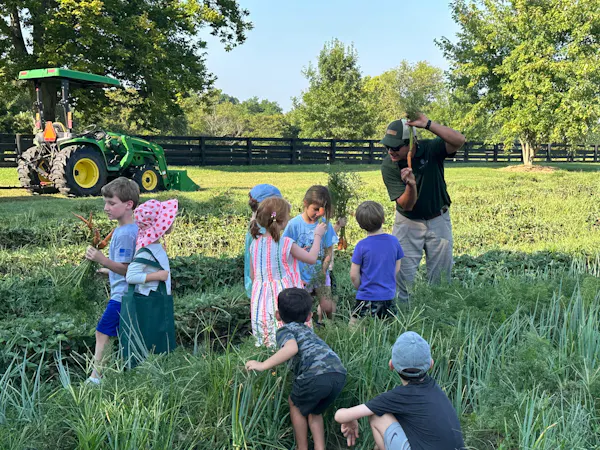 grassland, child, recreation, fun, grasses, people in nature