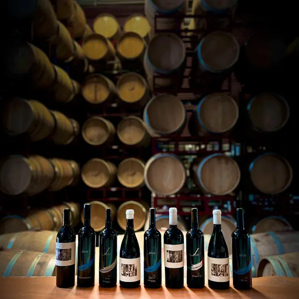 bottle, drinkware, liquid, wine, barware, glass bottle