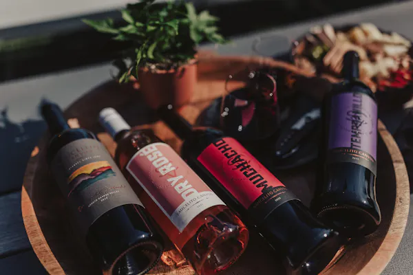 bottle, alcoholic drink, glass bottle, alcohol, liquid, wine bottle