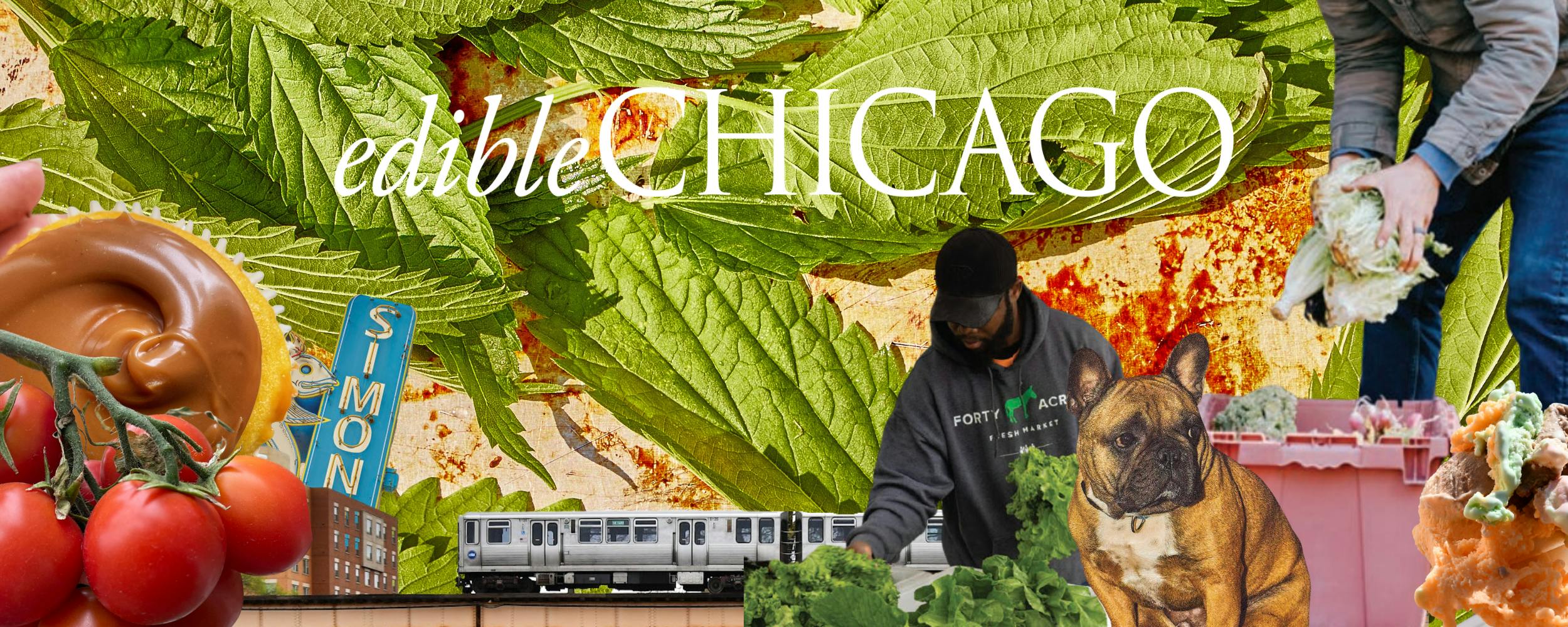 Edible Chicago