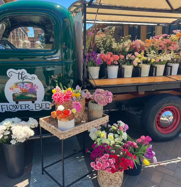 flower, plant, tire, flowerpot, blue, vehicle