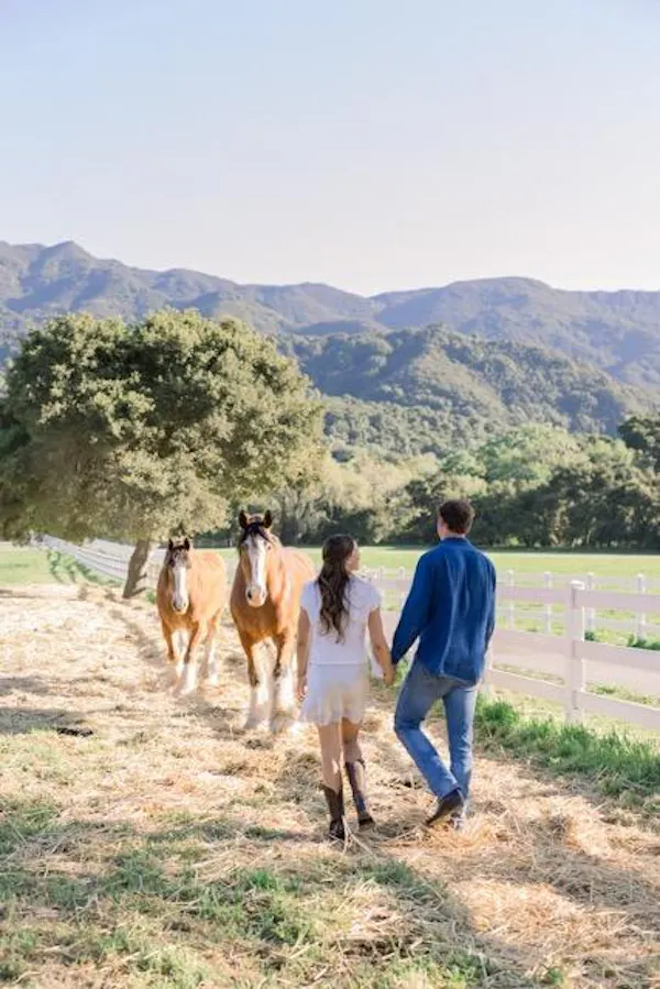 horse, people in nature, working animal, pasture, livestock, ranch