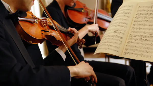 musical instrument, string instrument, violin family, chordophone, music, fiddle