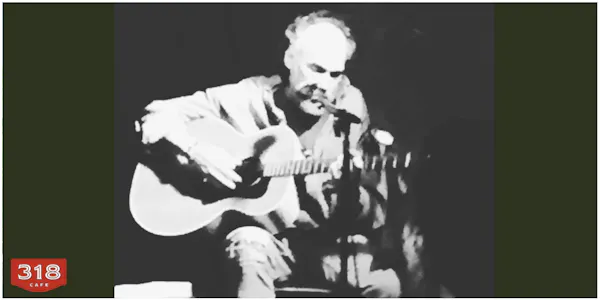 string instrument, plucked string instrument, musical instrument, chordophone, guitar, guitarist