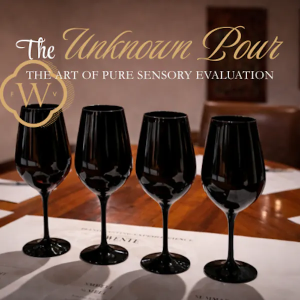 stemware, wine glass, drinkware, tableware, barware, alcoholic drink