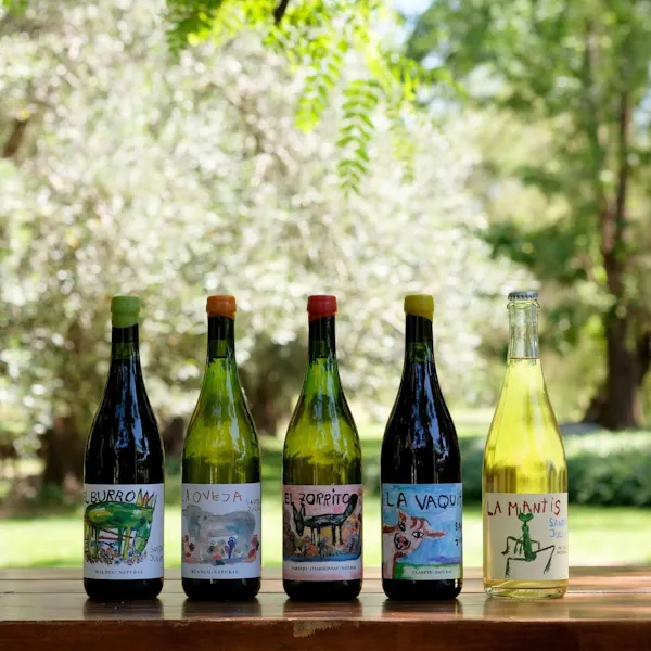 bottle, glass bottle, alcoholic drink, alcohol, wine bottle, label