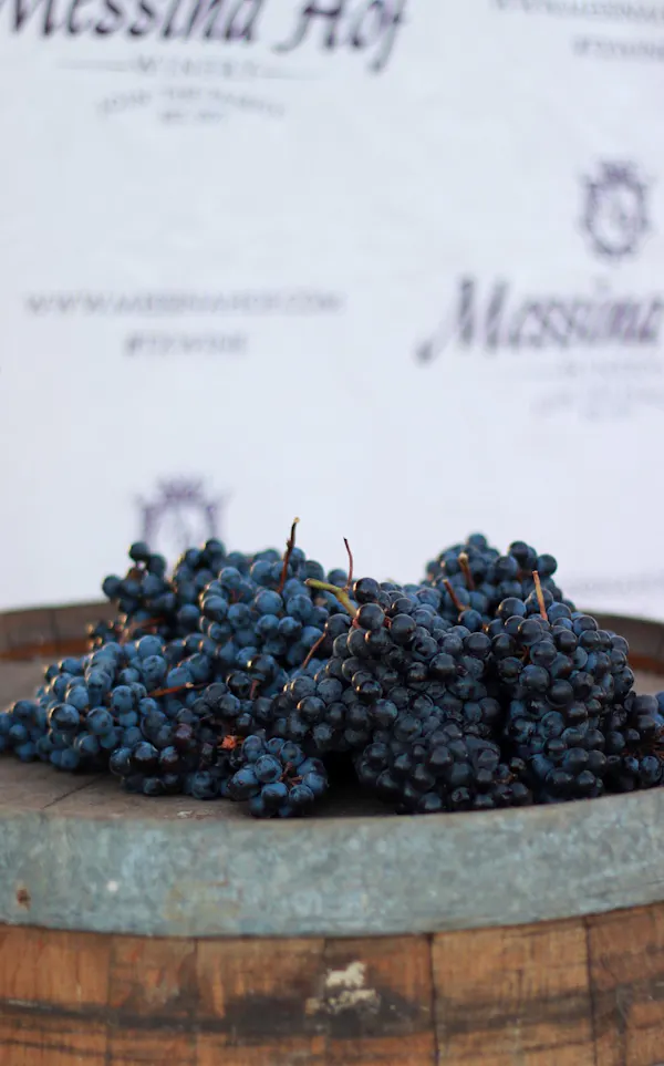 fruit, produce, food, grape, bottle, berry